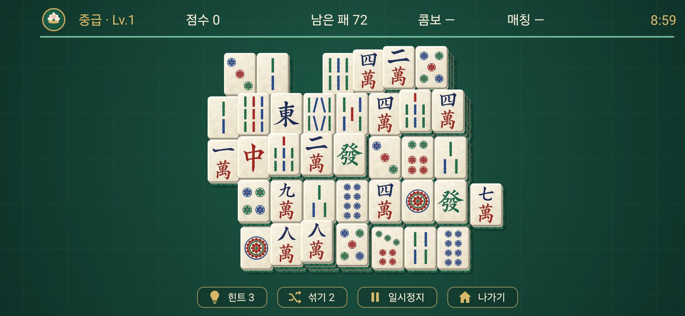 중급 비대칭형 판